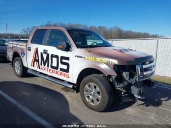  Salvage Ford F-150