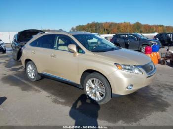  Salvage Lexus RX