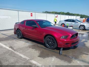  Salvage Ford Mustang