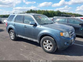  Salvage Ford Escape