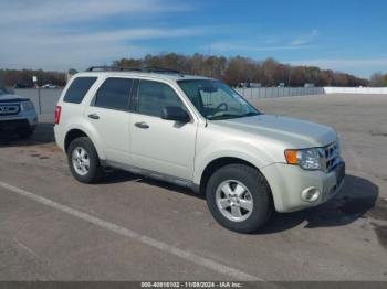  Salvage Ford Escape