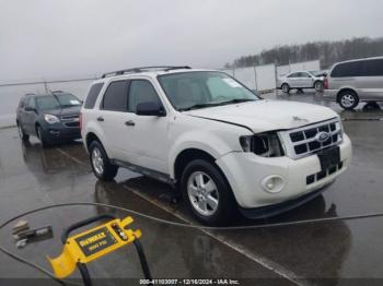  Salvage Ford Escape