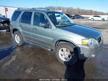  Salvage Ford Escape