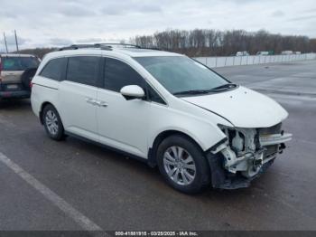  Salvage Honda Odyssey