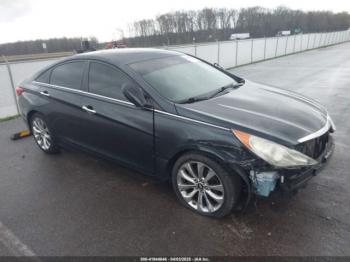  Salvage Hyundai SONATA