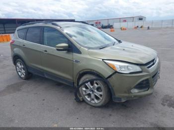  Salvage Ford Escape