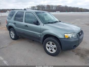  Salvage Ford Escape