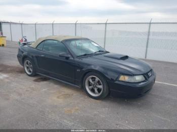  Salvage Ford Mustang