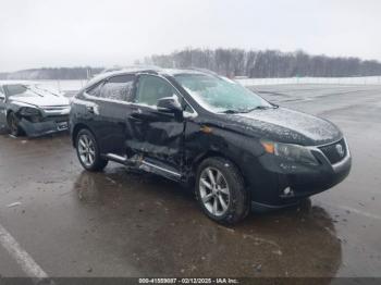  Salvage Lexus RX