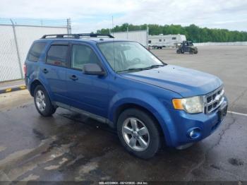  Salvage Ford Escape