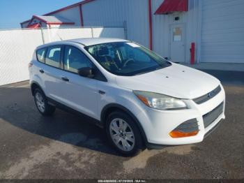  Salvage Ford Escape