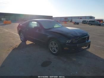  Salvage Ford Mustang