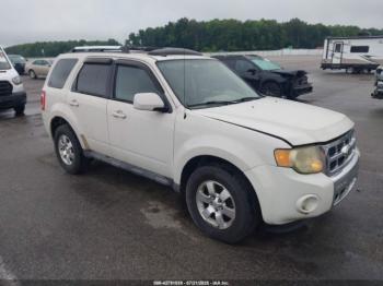  Salvage Ford Escape