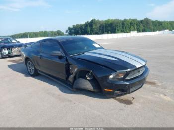  Salvage Ford Mustang