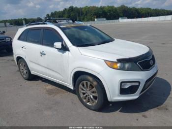  Salvage Kia Sorento