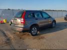 Honda CR-V Lx Image 5