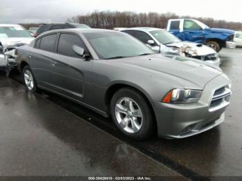  Salvage Dodge Charger