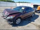 Honda Accord 3.5 Ex-l Image 8