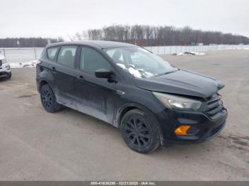  Salvage Ford Escape