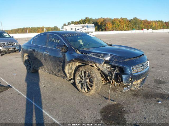  Salvage Nissan Maxima