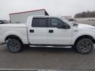 Ford F-150 Image 7