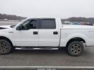 Ford F-150 Image 13