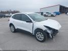 Ford Escape Active Image 1