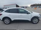 Ford Escape Active Image 2