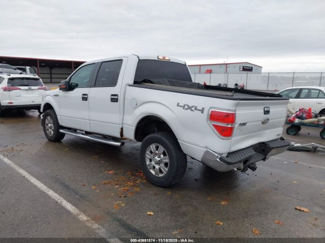 Ford F-150 Xlt Image 3