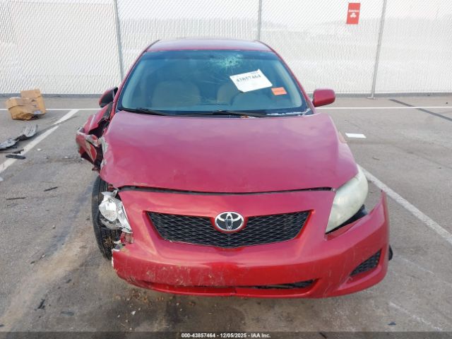 Toyota Corolla Le Image 7