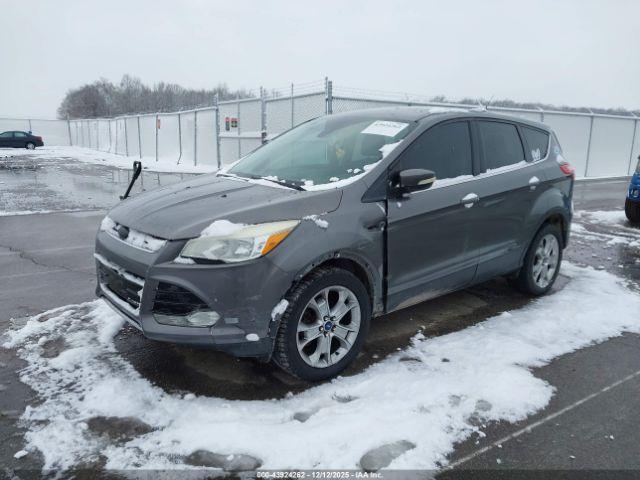 Ford Escape Sel Image 2