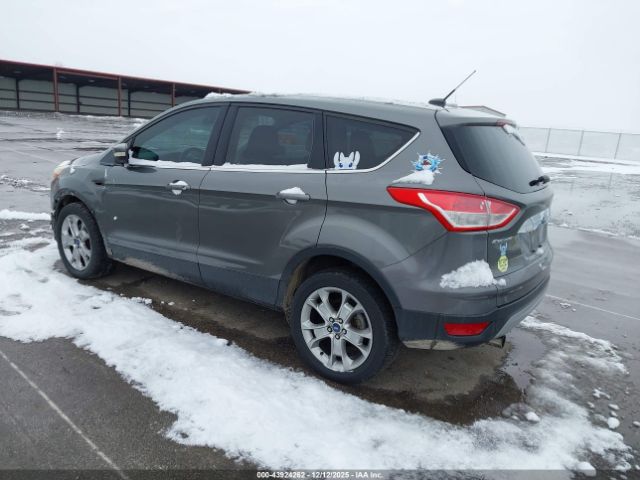 Ford Escape Sel Image 9
