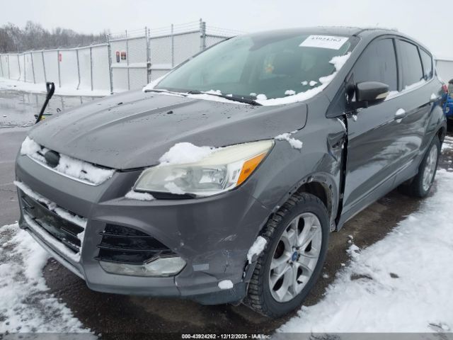 Ford Escape Sel Image 5