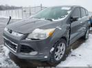 Ford Escape Sel Image 5