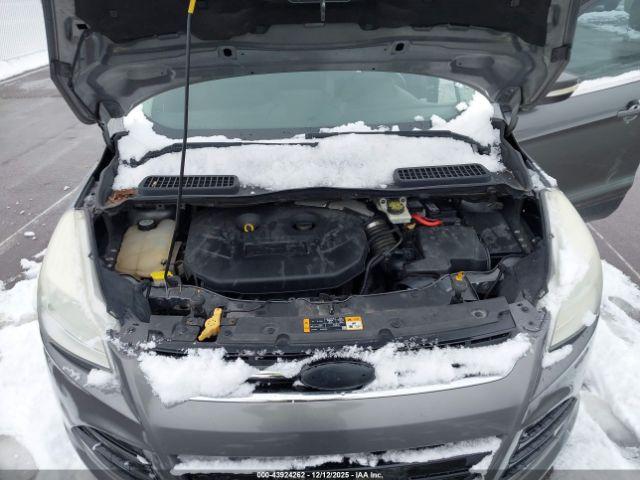 Ford Escape Sel Image 6